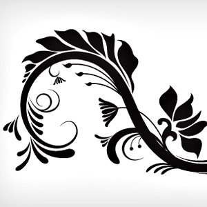 300x300 Ornaments Vectors