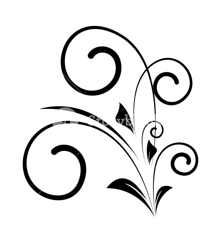 907x1000 Decorative Swirl Vector Silhouette Royalty Free Stock Image