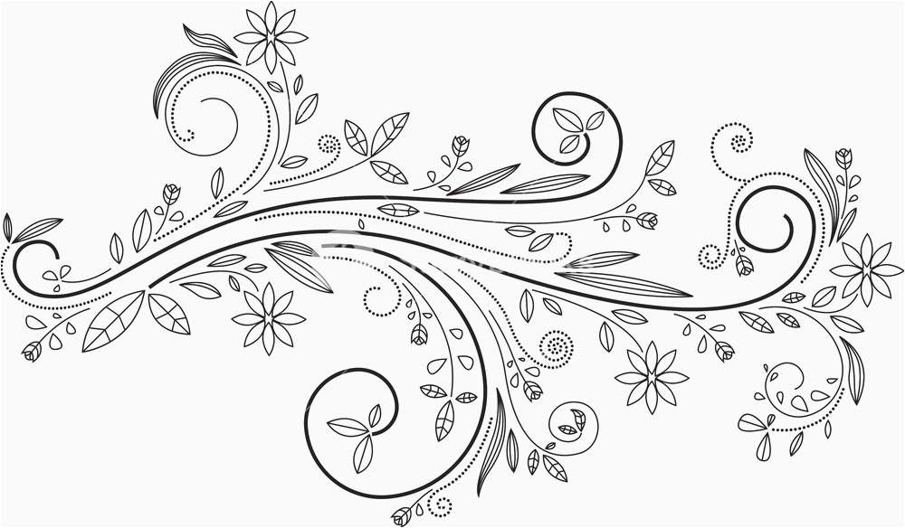 1000x584 Ornament Clipart Black And White Picture Floral Swirl Vector