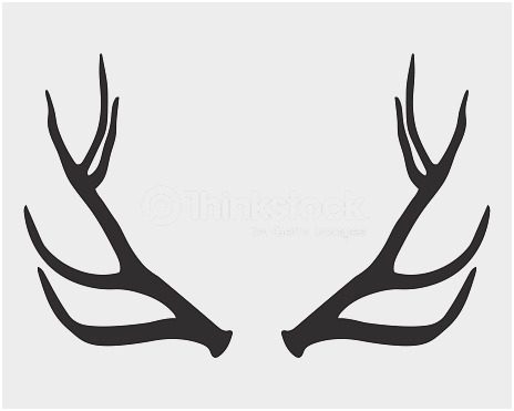 464x371 Deer Antlers Vector Beautiful Black Silhouette Antlers Vector Art