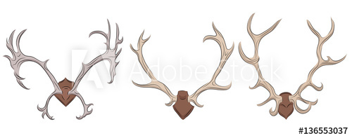 500x197 Set Of Different Deer Antlers. Vector Element For Your Design