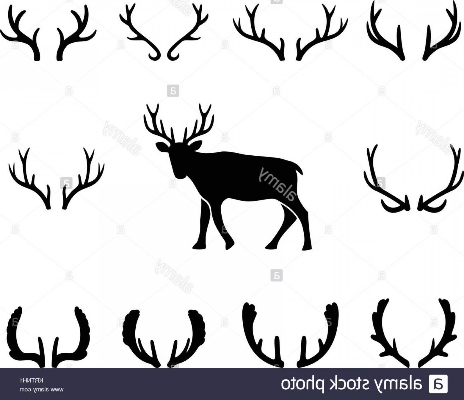 1560x1344 Stock Photo Black Silhouettes Of Different Deer Antlers Vector