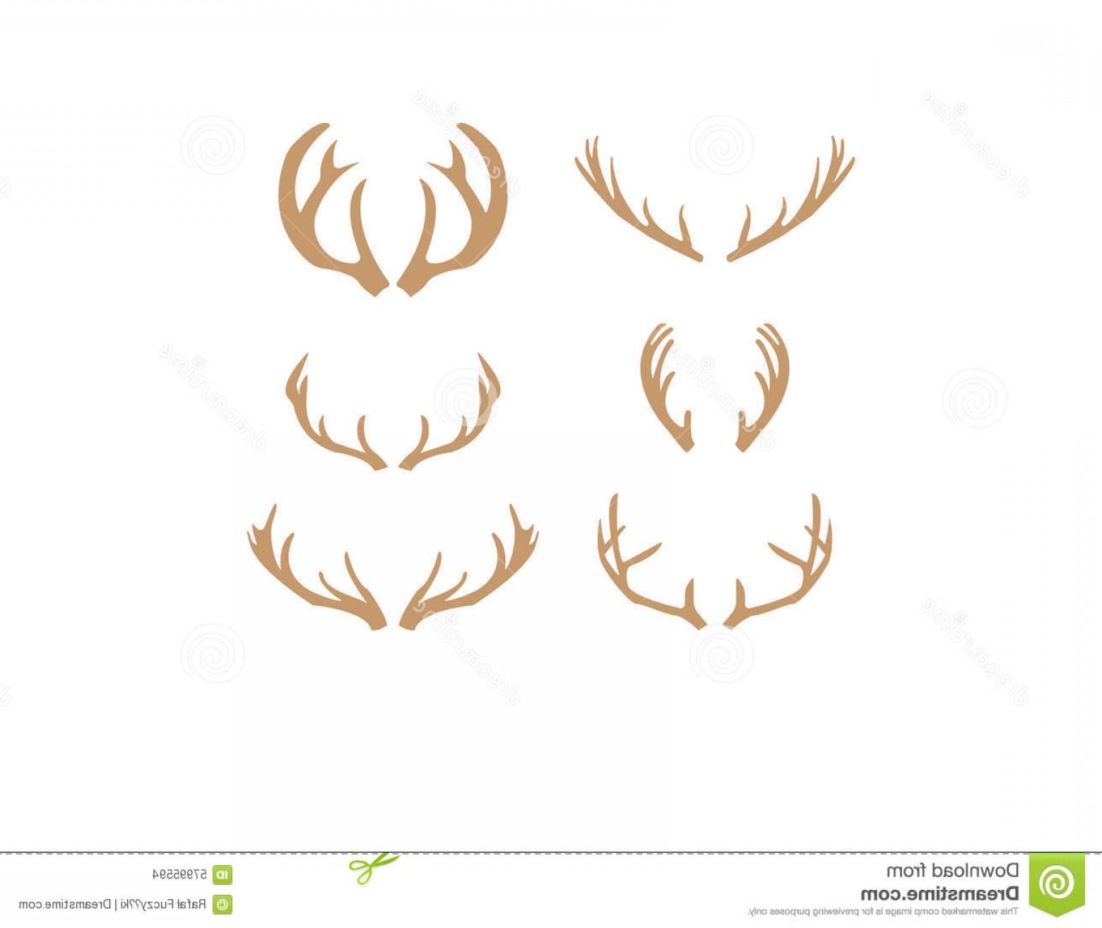1560x1314 Whitetail Deer Antlers Vector Orangiausa