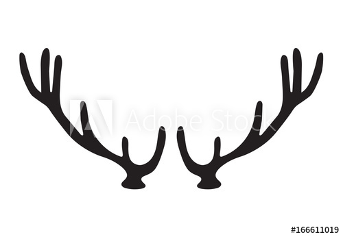 500x346 Black Silhouette Of Deer Antlers Vector Illustration