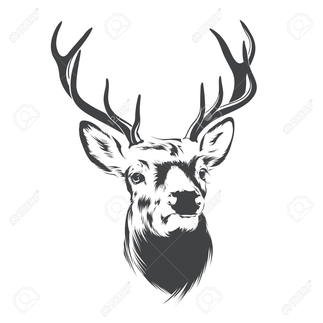 1300x1300 Deer Head Clipart Vectors Collection