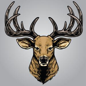300x300 Hand Drawing Style Of Deer Head Vector Sohadacouri