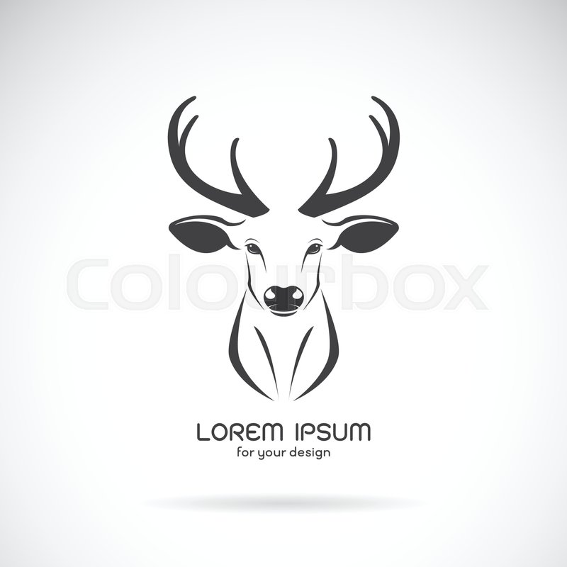 800x800 Vector Image Of A Deer Head Design On White Background, Vector