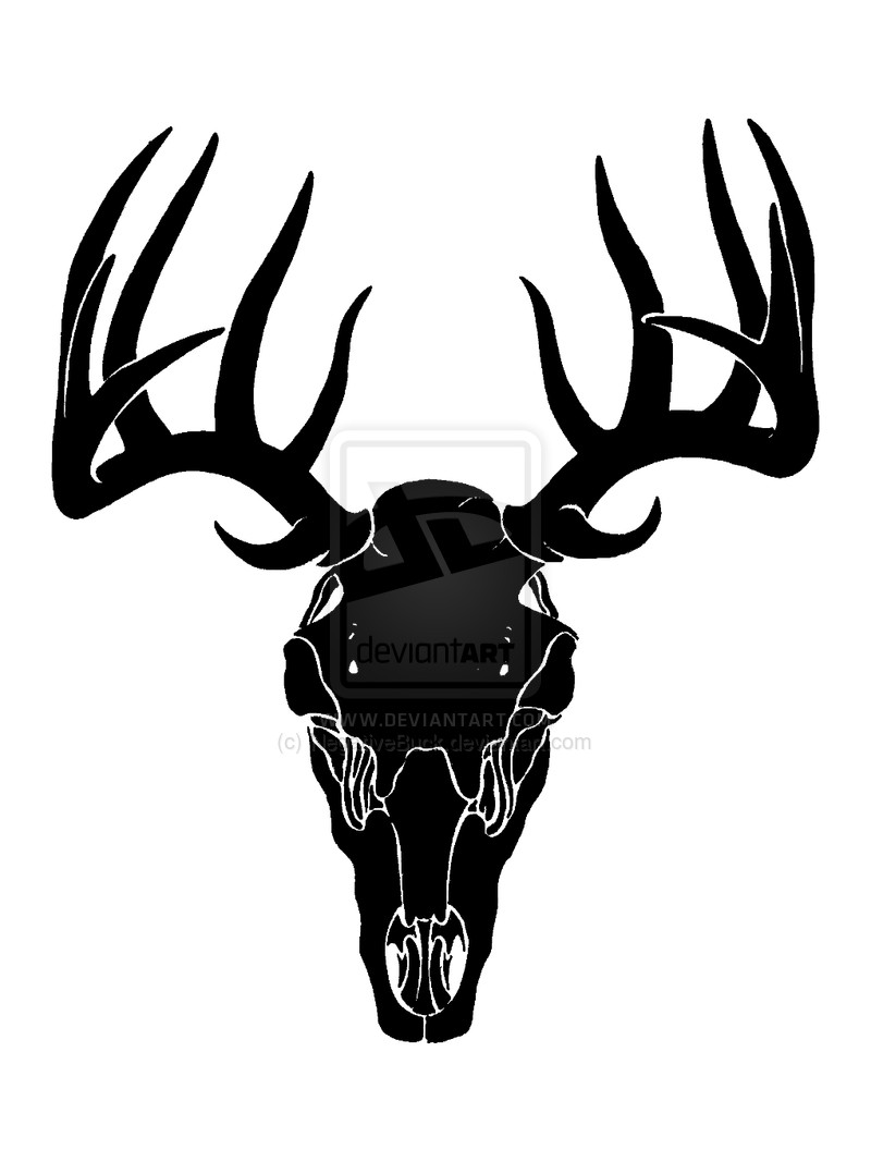 800x1067 Deer Head Silhouette Royalty Free Cliparts Vectors And Stock
