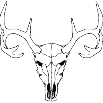 340x340 Deer Skull Vector Free 123freevectors