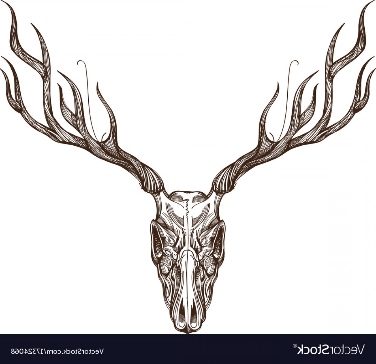 Deer Skull Vector at GetDrawings | Free download