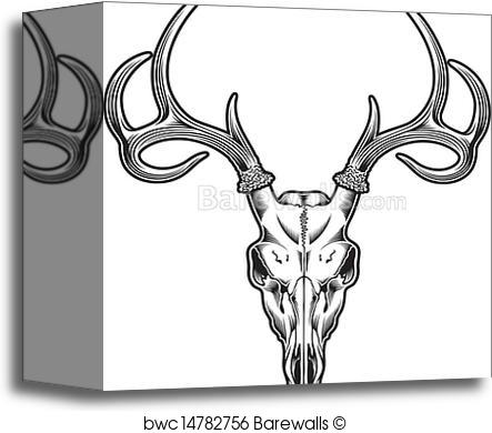 443x390 Canvas Print Of Deer Skull Vector Barewalls Posters Amp Prints