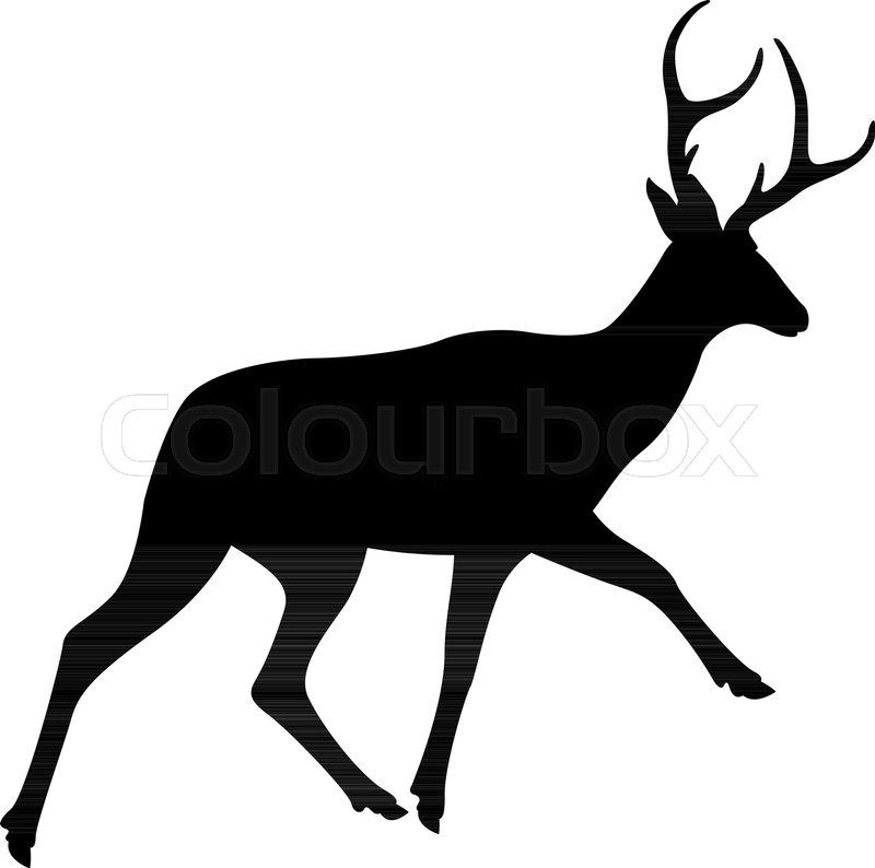 800x794 Deer Vector Illustration Black Silhouette Profile Side Stock