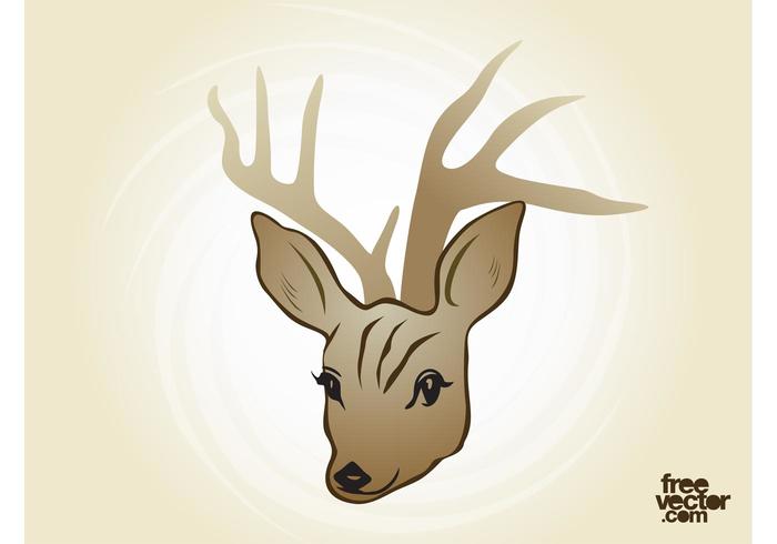 700x490 Deer Vector
