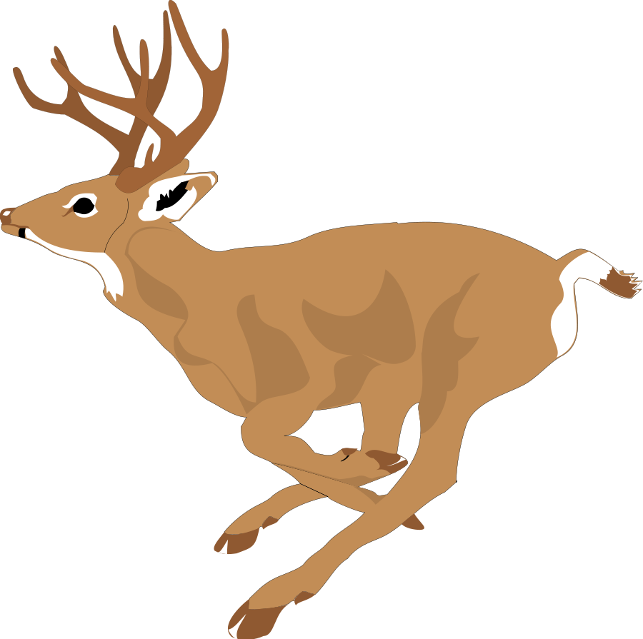 900x895 Deer Vector Art Clipart 2 Clipartcow Clipartix