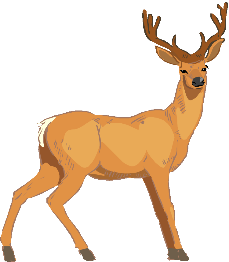 750x856 Deer Vector Art Clipart Clipartcow Clipartix 2
