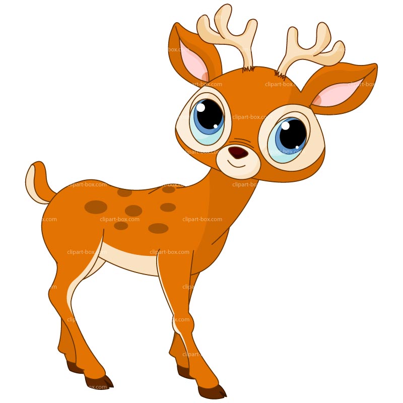 800x800 Free Deer Clipart