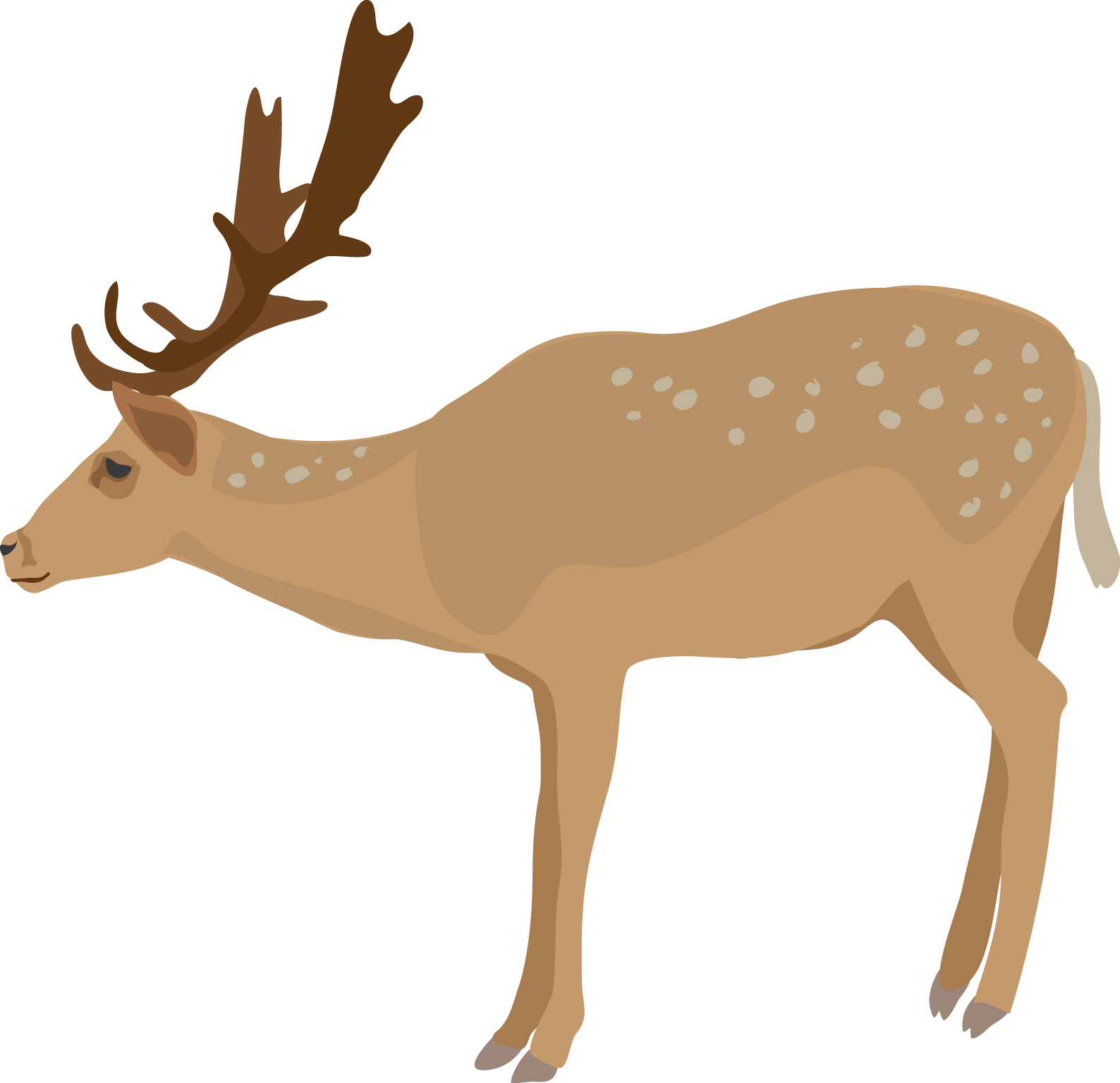 1588x1535 Collection Of Free Deer Vector Transparent. Download On Ubisafe
