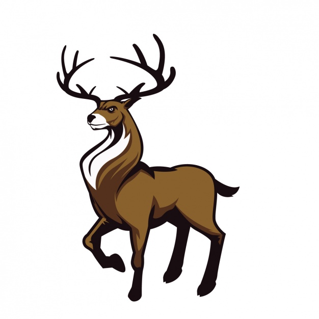 626x626 Deer Free Vector Download