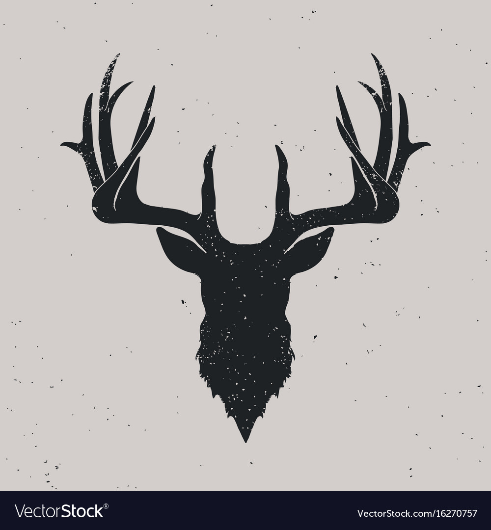 1000x1080 Deer Vector Illustration Stock Art More Images Of Showy Skull