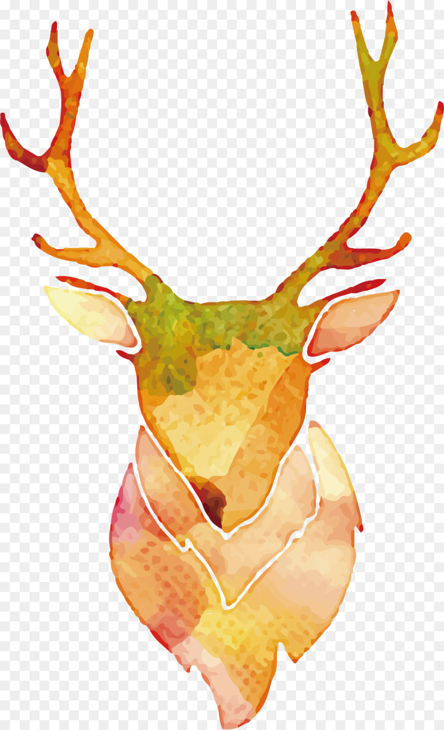 900x1480 Antler