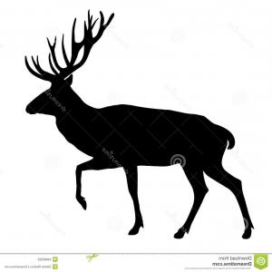 300x300 Royalty Free Stock Images Deer Vector Illustration Silhouette