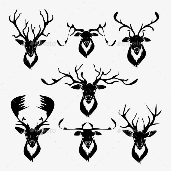 590x590 Deer Vector By Maximapperian Graphicriver