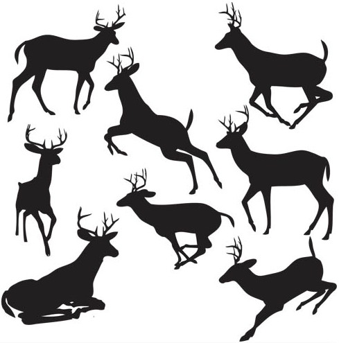 489x495 Silhouettes Of Deer Vector Ai Format Free Vector Download