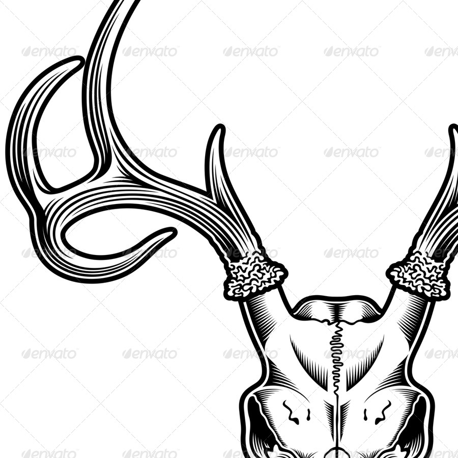 900x900 Deer Skull Vector By Vectorfreak Graphicriver