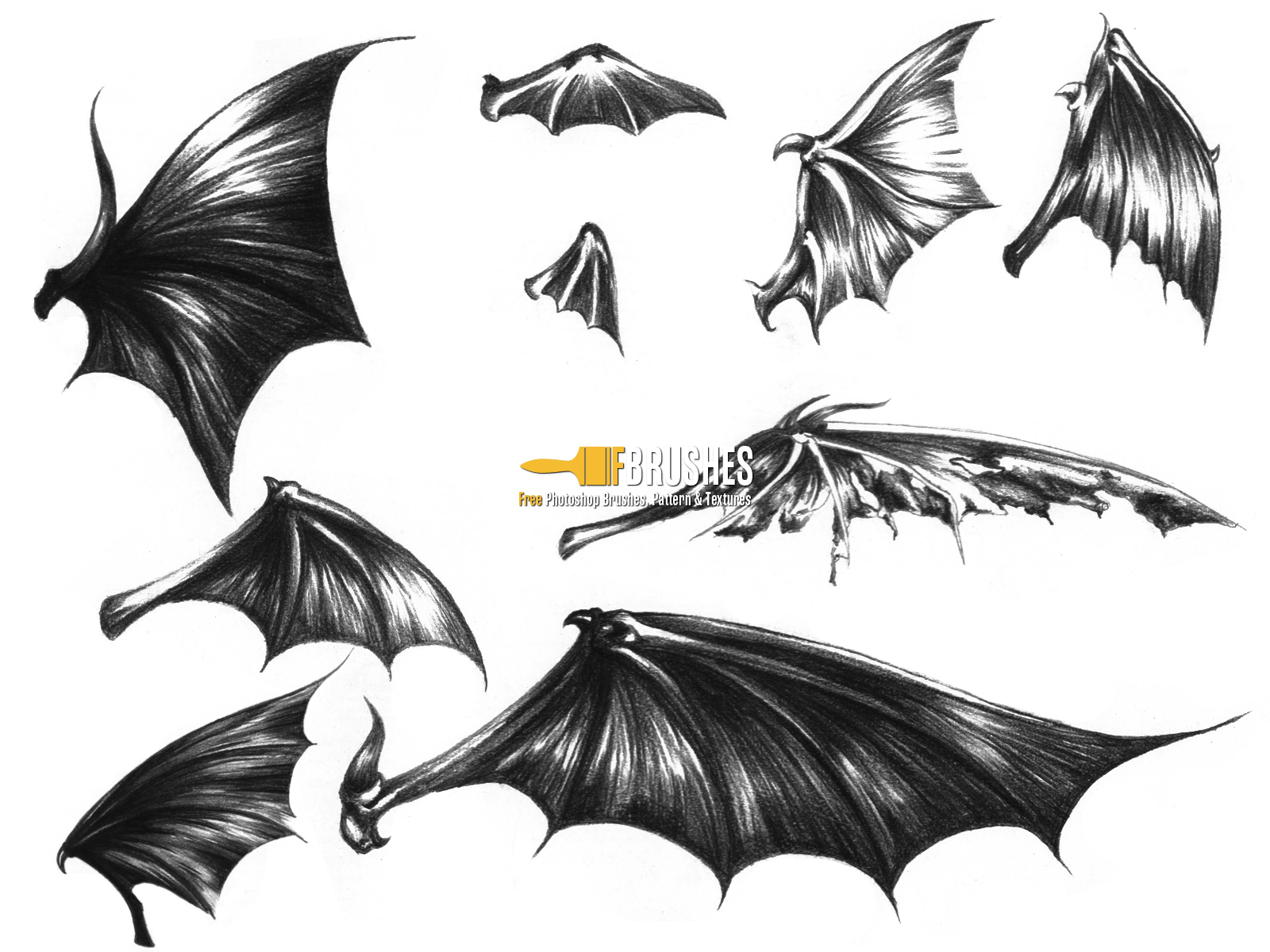 1600x1200 Dark Demon Wings