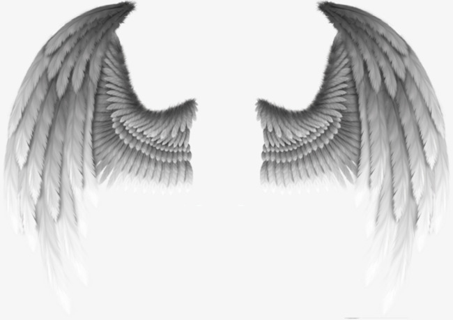 650x459 Devil Wings Png Images Vectors And Psd Files Free Download On