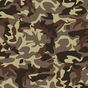 300x300 Desert Camouflage Vector