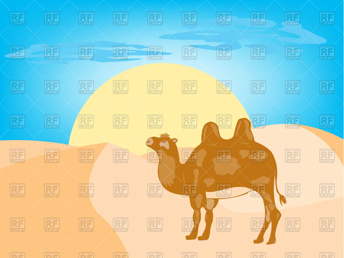 1200x900 Camel In Desert Vector Image Vector Artwork Of Plants And