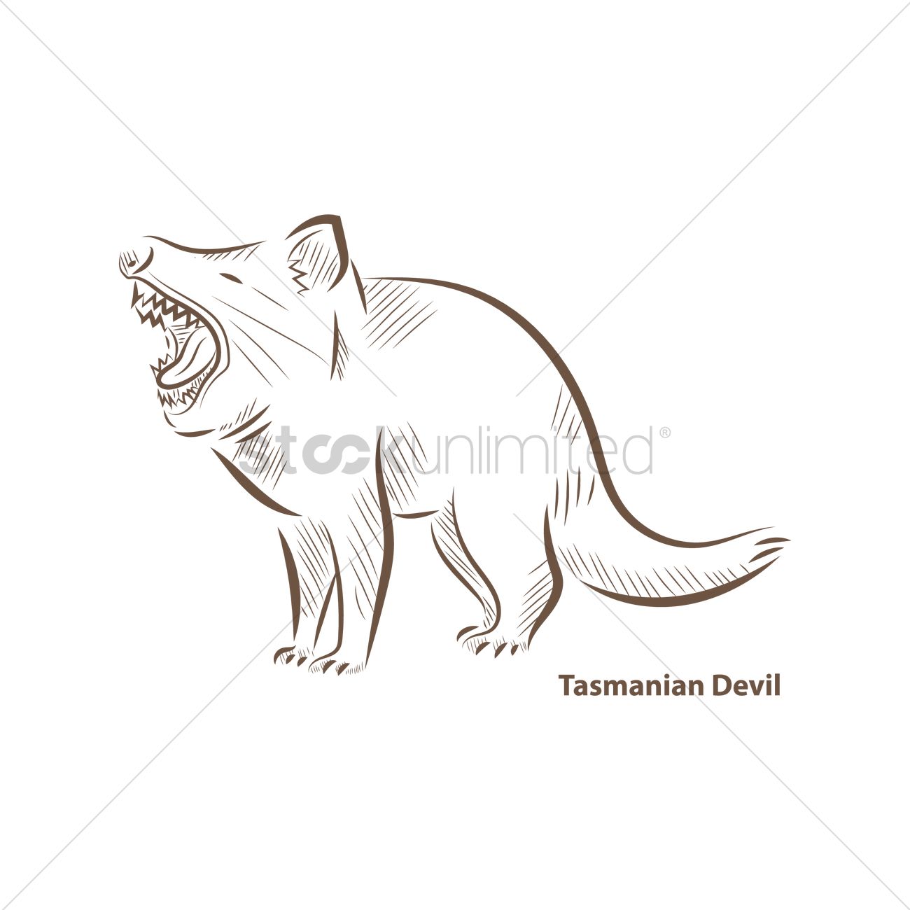 1300x1300 Tasmanian Devil Vector Image