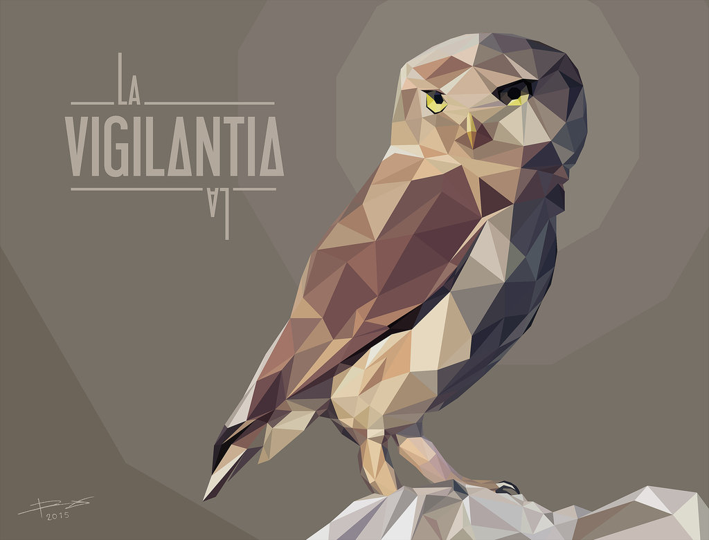 1024x781 La Vigilantia