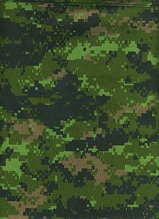 228x314 Multi Scale Camouflage