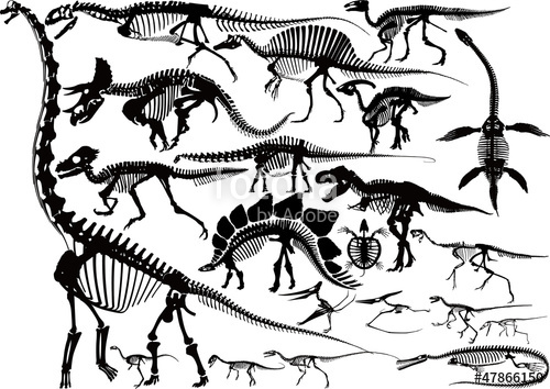 500x354 Dinosaur Skeleton Silhouette Collection Stock Image And Royalty