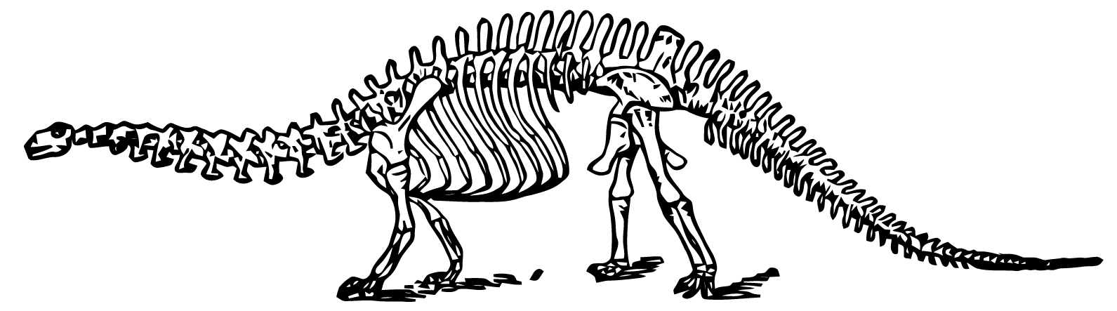 Dinosaur Skeleton Vector at GetDrawings | Free download