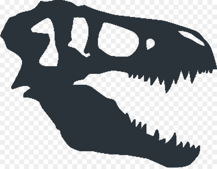 900x700 Tyrannosaurus Dinosaur Fossils Skull