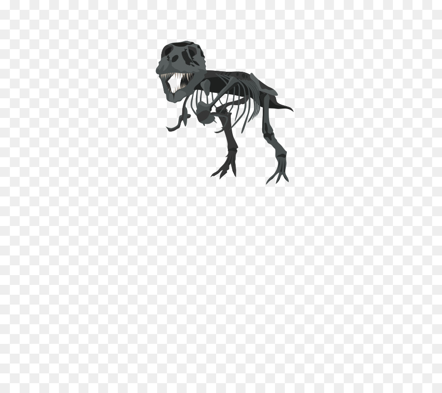 900x800 Tyrannosaurus Triceratops Dinosaur Skeleton Clip Art