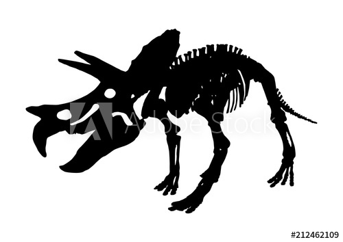 500x354 Isolated Triceratops Dinosaur Skeleton Fossil, Vector Illustration
