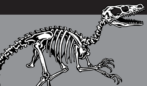 512x300 Dino Skeleton Vector Pack Vector Genius