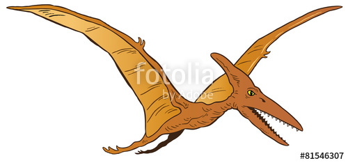 500x234 Pterodactyl Dinosaur Vector Stock Image And Royalty Free Vector