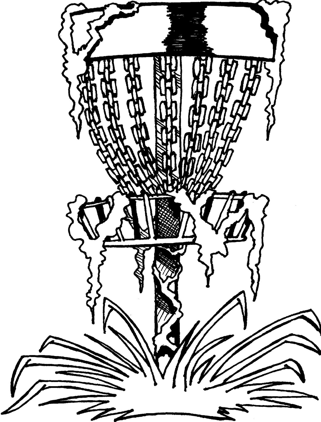 1218x1600 Does A Bear Disc In The Woods 2015