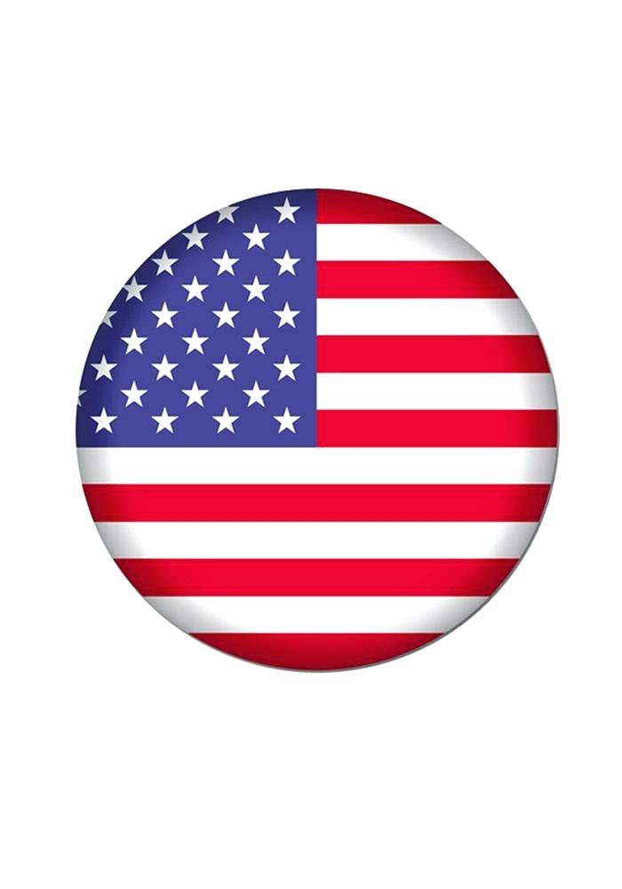 700x1000 American Flag Pictures Distressed National Flag Vector Image