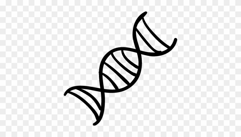 840x479 Dna Chain Vector