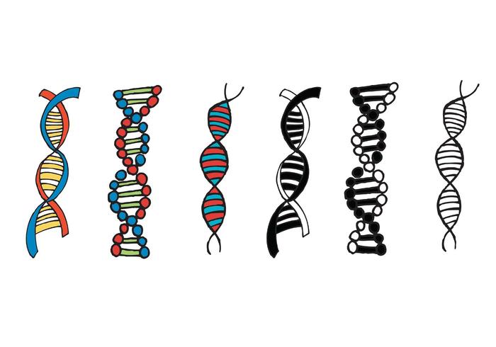 700x490 Free Double Helix Vector Series