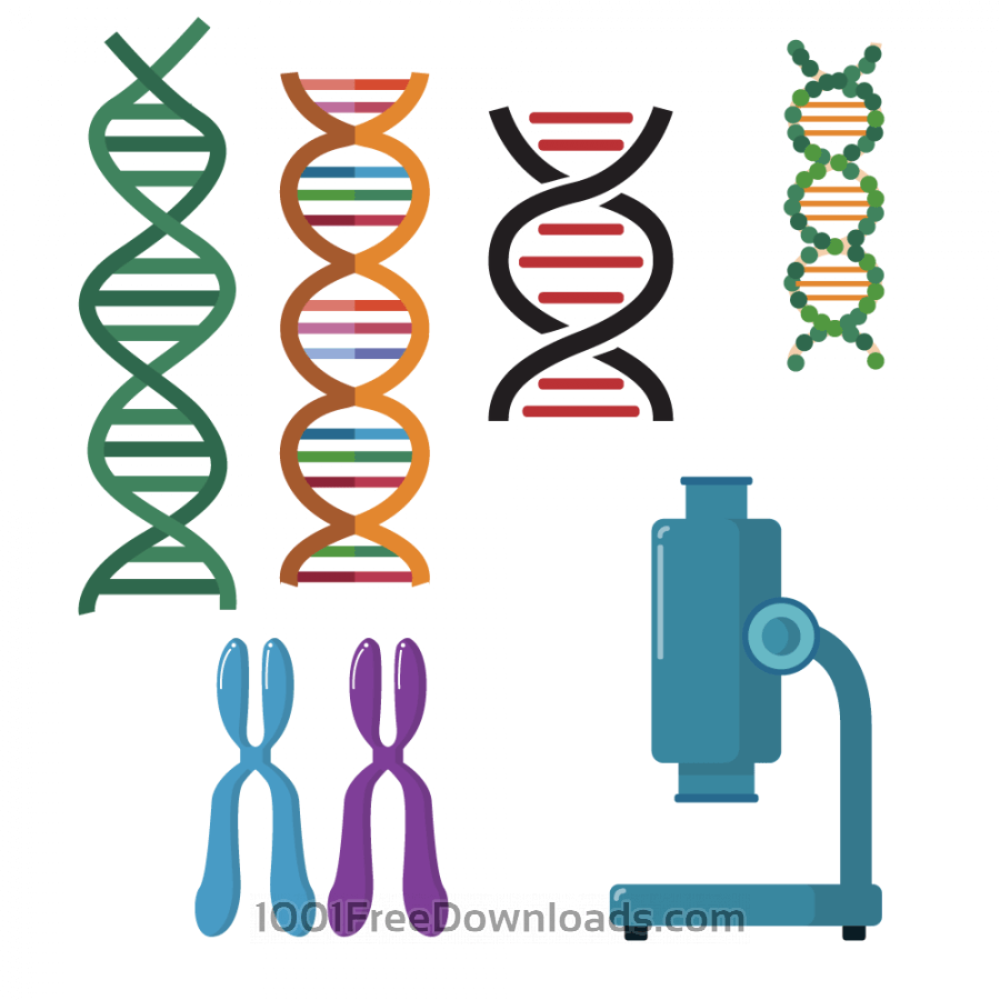 900x900 Free Vectors Dna Double Helix Scientific Vector Set Abstract