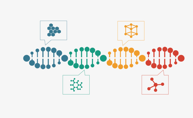 650x400 Creative Vector Creative Dna Helix, Spirochetes, Vector Spiral