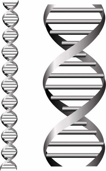 372x600 Dna Free Vector In Adobe Illustrator Ai ( .ai ), Encapsulated