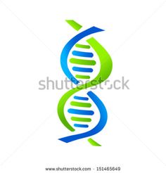Dna Logo Vector